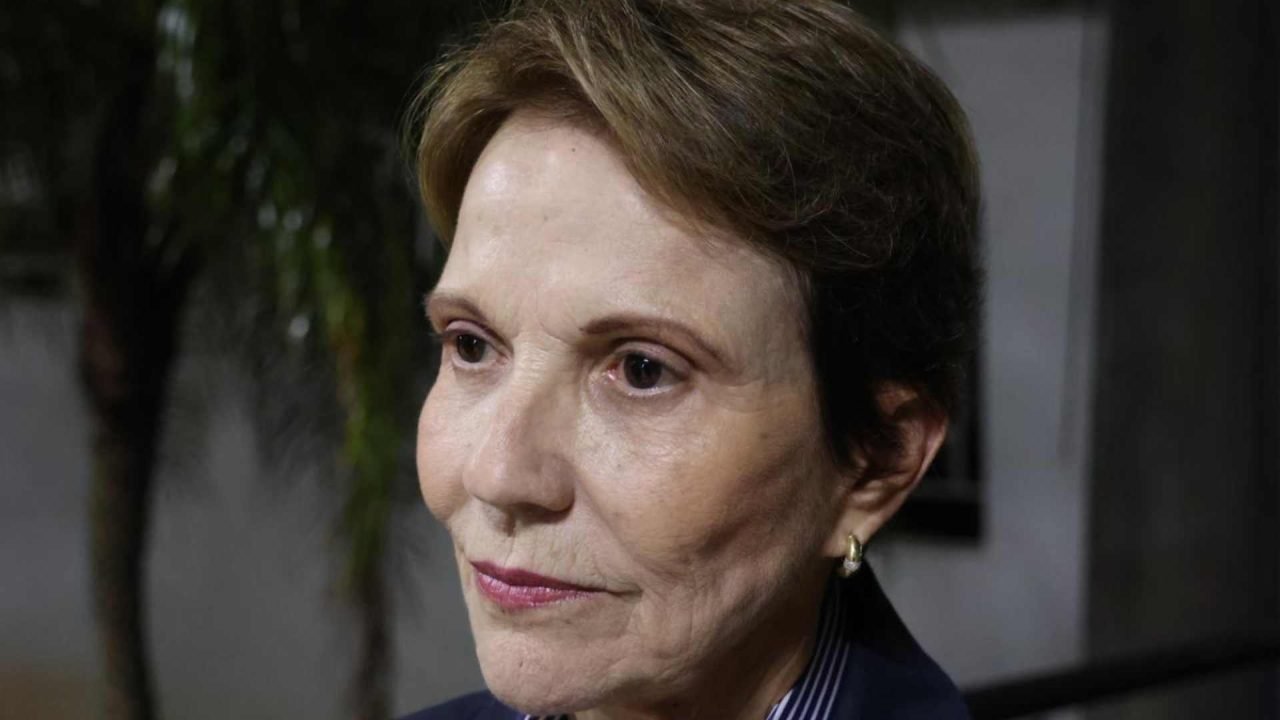 Foto: Senadora Tereza Cristina (PP-MS) diz que tem compromisso com o agro no Sen