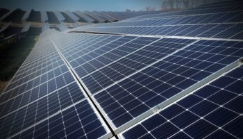 Belém Prepara-se para a COP30 com Sinais de Greenwashing