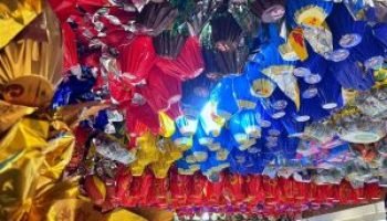 whatsapp-image-2026-03-09-at-115432