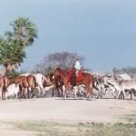 whatsapp-image-2026-03-12-at-162028