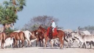 whatsapp-image-2026-03-12-at-162028