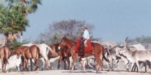 whatsapp-image-2026-03-12-at-162028