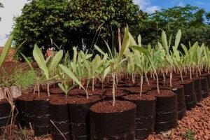 whatsapp-image-2026-03-19-at-094802