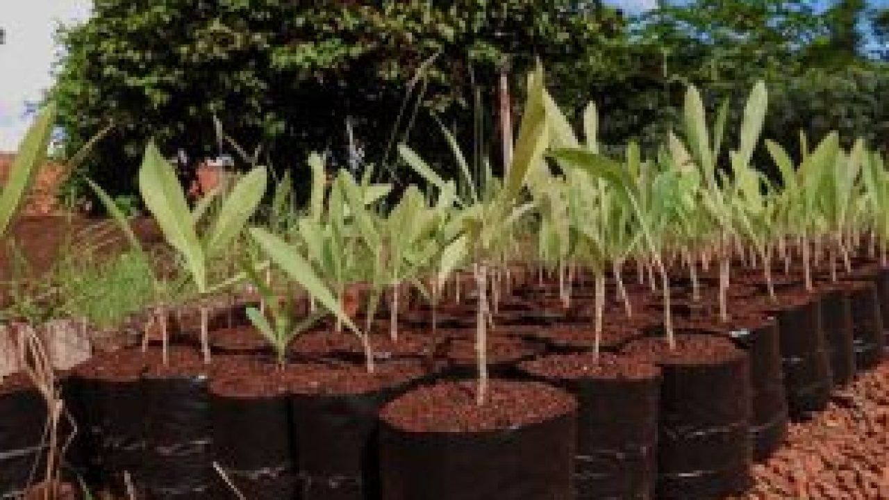 whatsapp-image-2026-03-19-at-094802