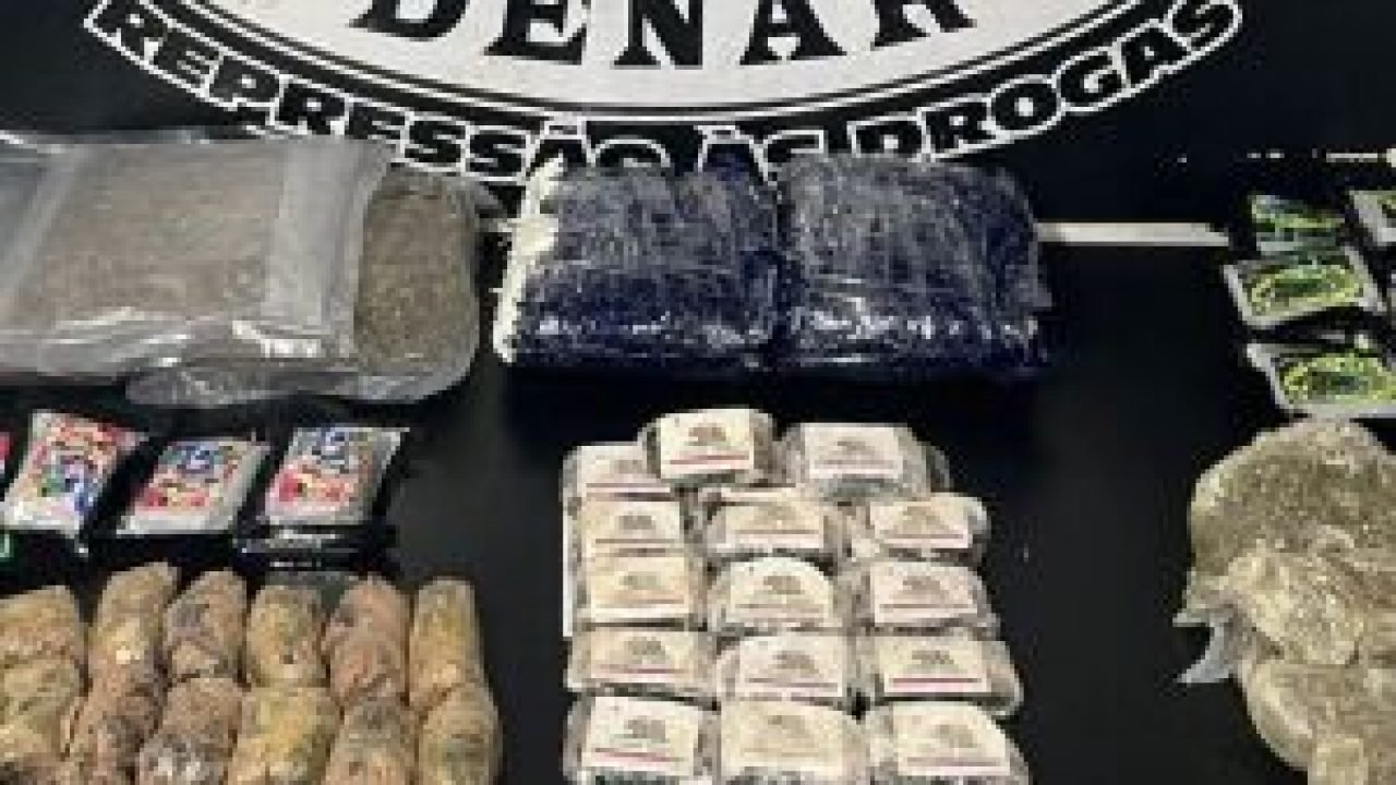 whatsapp-image-2026-03-19-at-151959-e1773948566197