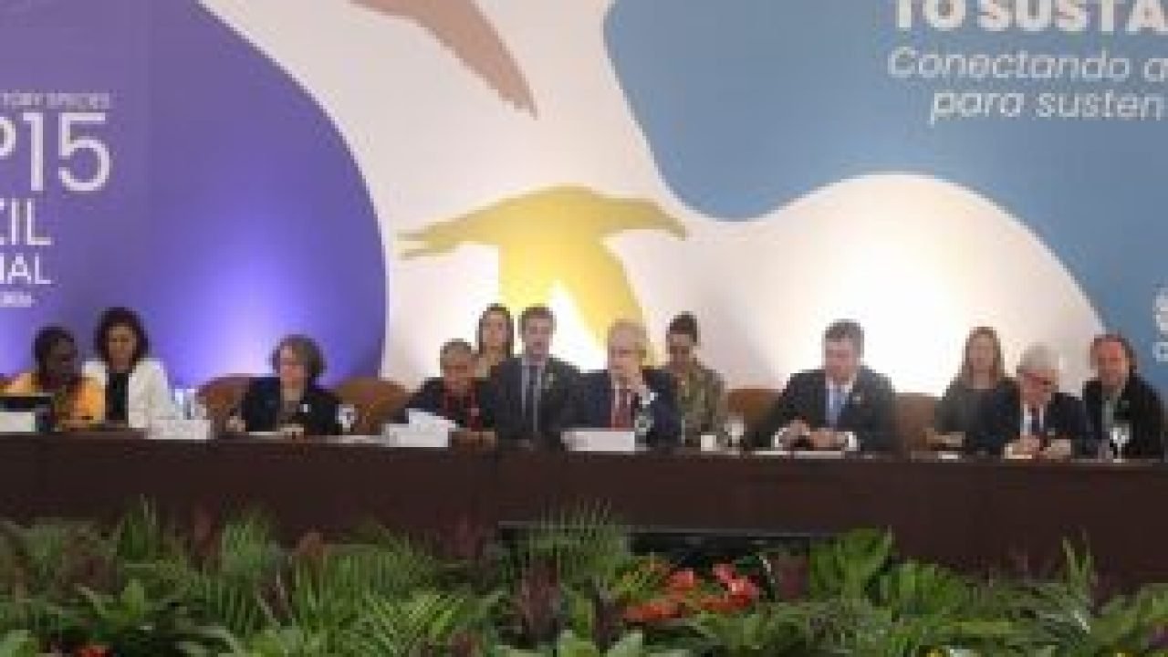 whatsapp-image-2026-03-22-at-145954