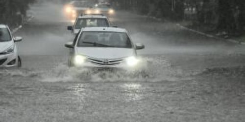 whatsapp-image-2026-03-25-at-142739