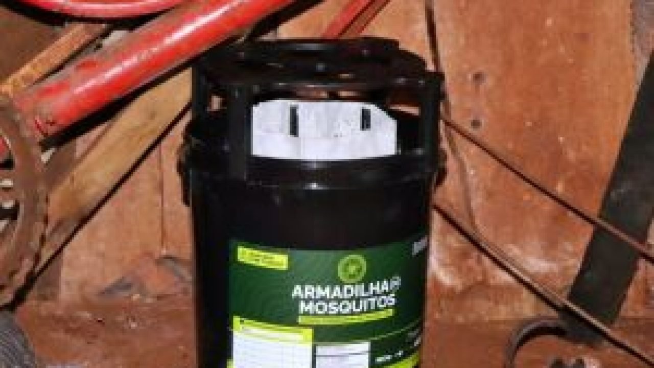 whatsapp-image-2026-03-27-at-105817