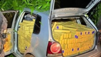 whatsapp-image-2026-03-30-at-094431