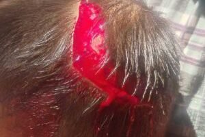 whatsapp-image-2026-04-03-at-163033-1