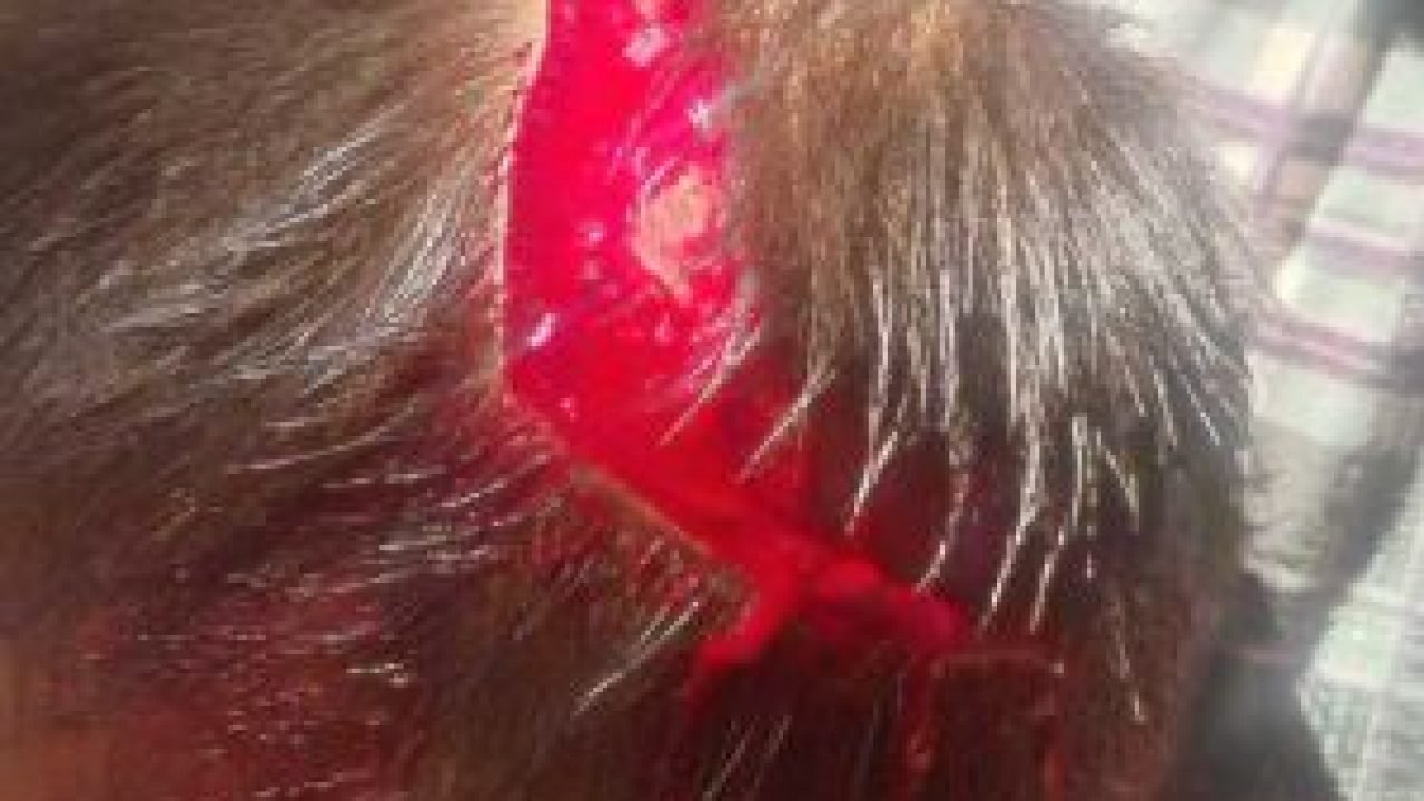 whatsapp-image-2026-04-03-at-163033-1