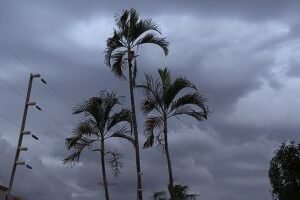 whatsapp-image-2026-04-06-at-150317