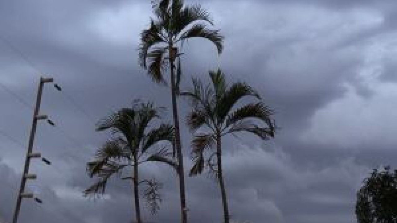 whatsapp-image-2026-04-06-at-150317