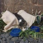 whatsapp-image-2026-04-11-at-091921