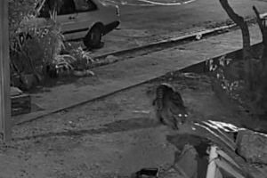 whatsapp-image-2026-04-23-at-124126