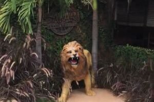 whatsapp-image-2026-04-26-at-084716