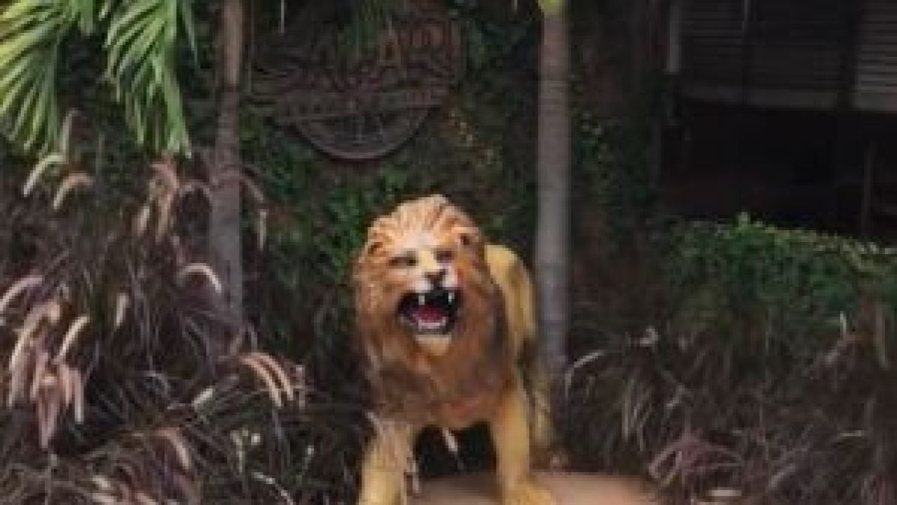 whatsapp-image-2026-04-26-at-084716